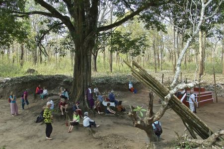 Calicut - Les Caravaniers s'assoient en silence sous un arbre au milieu de temples Hindous