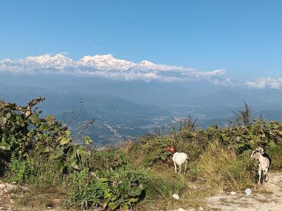 J05-05 La beauté des paysages augmente au fur et à mesure qu'on prend de l'altitude en marchant