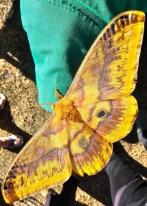 J20-01 Changement de programme aujourd'hui