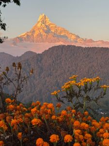 Népal - Beauté omniprésente