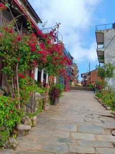 J05-04 Tout est coloré et fleuri dans ce village
