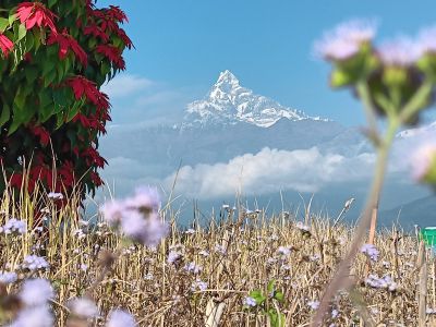 J07-07 Vue du pic Machapuchare 6993m