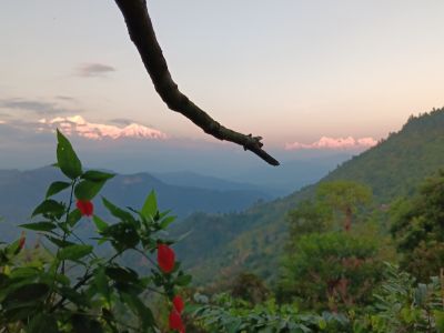 Day5-3 Sur le chemin de l'école2