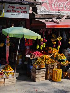 J04-08 On découvre l'abondance et la saveur des clémentines