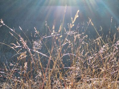 Népal - Délicatesse et recueillement possible en tout lieu