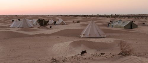 Le campement dans le désert