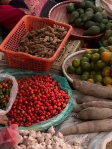 J03-01 Epices sur le marché