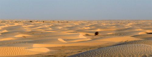 L'intemporalité du désert