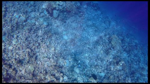 J08-02-corail