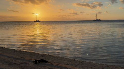 J02-8-2 catamarans