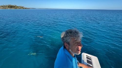 J07-09-piano-requin