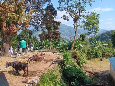 J08-01 Arrivée à l'ashram Shree Prithvi Narayan