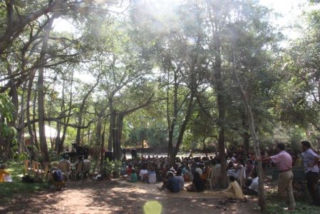 Le concert a lieu dans le parc de l'école sous un manignifique banian