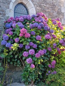 Day1-11 Beauté de la Bretagne