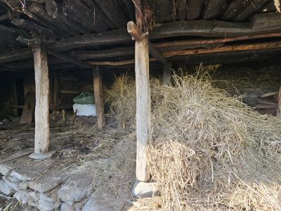 J17-05 Vue intérieur de l'étable